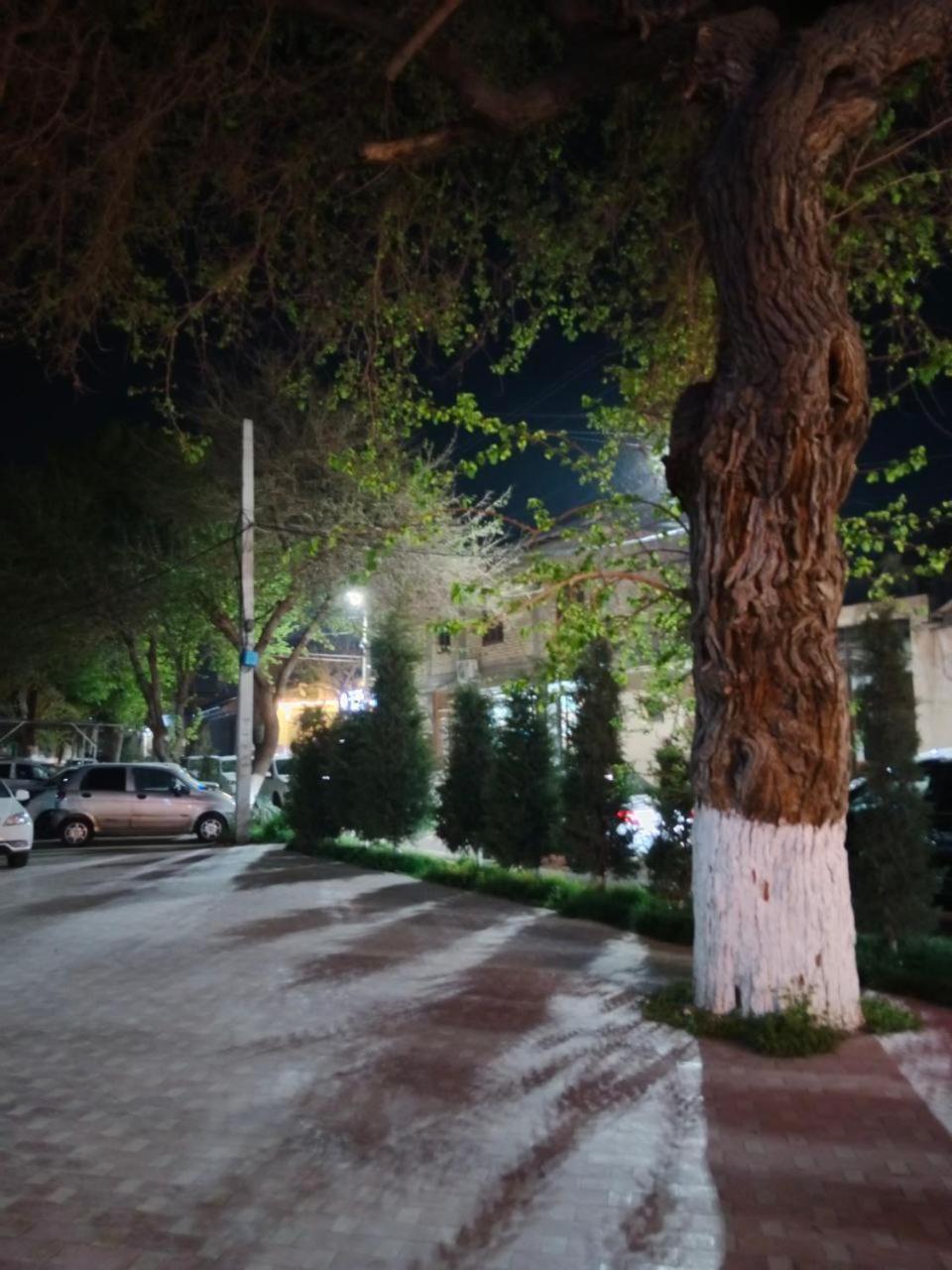 Gulsara Hostel Semerkant Dış mekan fotoğraf