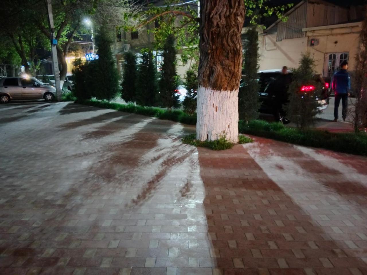 Gulsara Hostel Semerkant Dış mekan fotoğraf